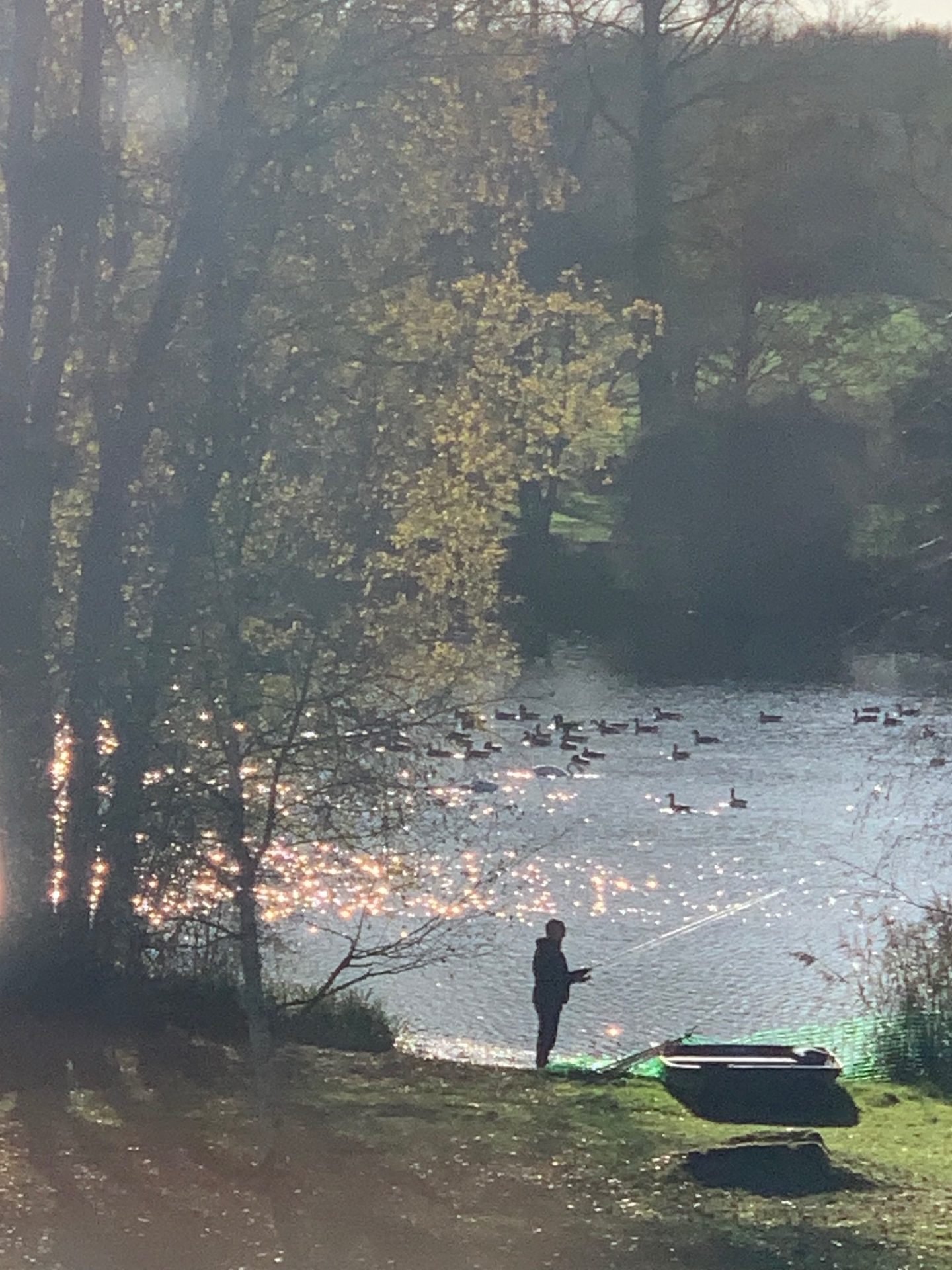 Fishing on the lake at golden hour with geese on the water