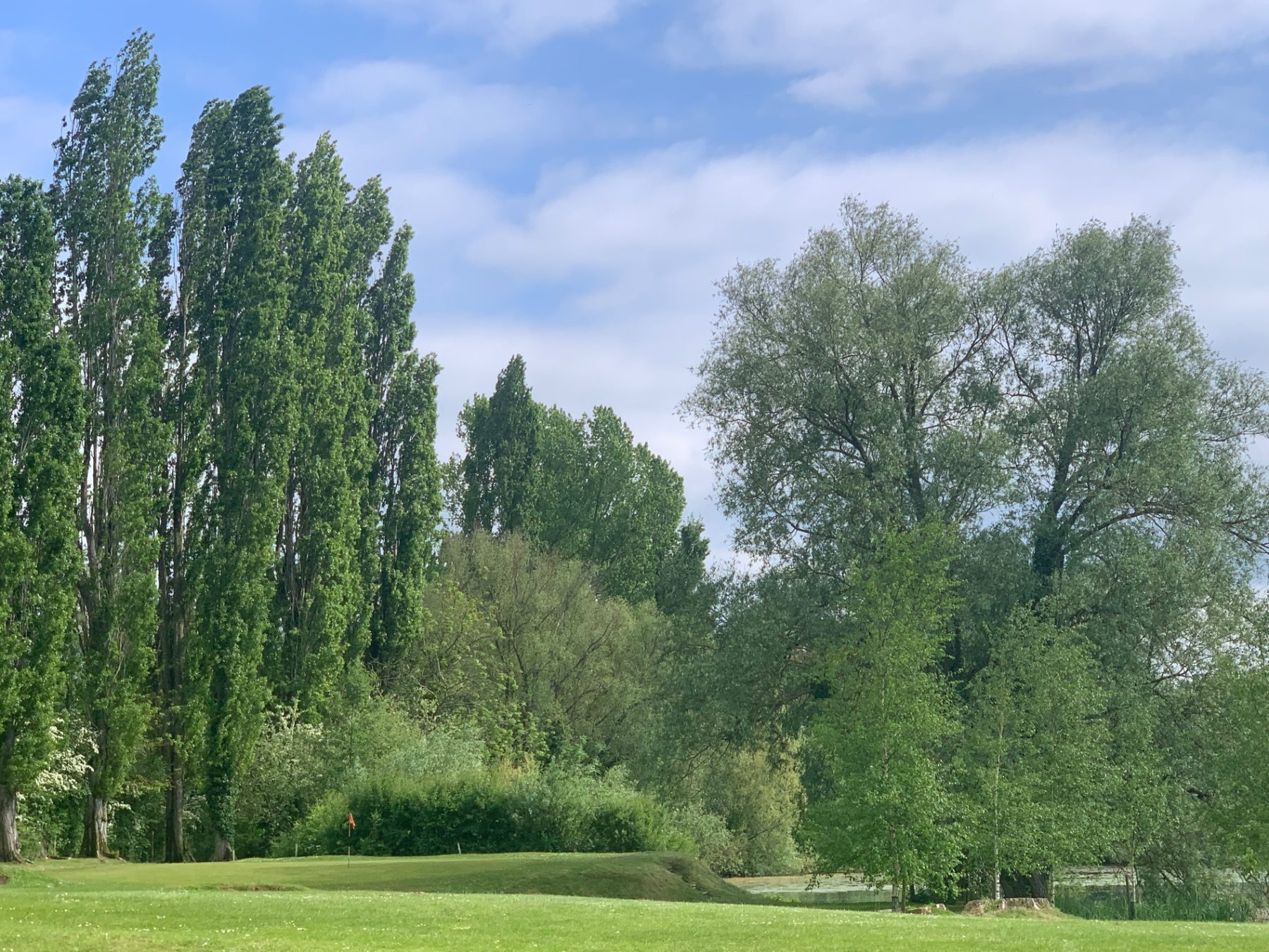 Fairway at Clare Park Lake