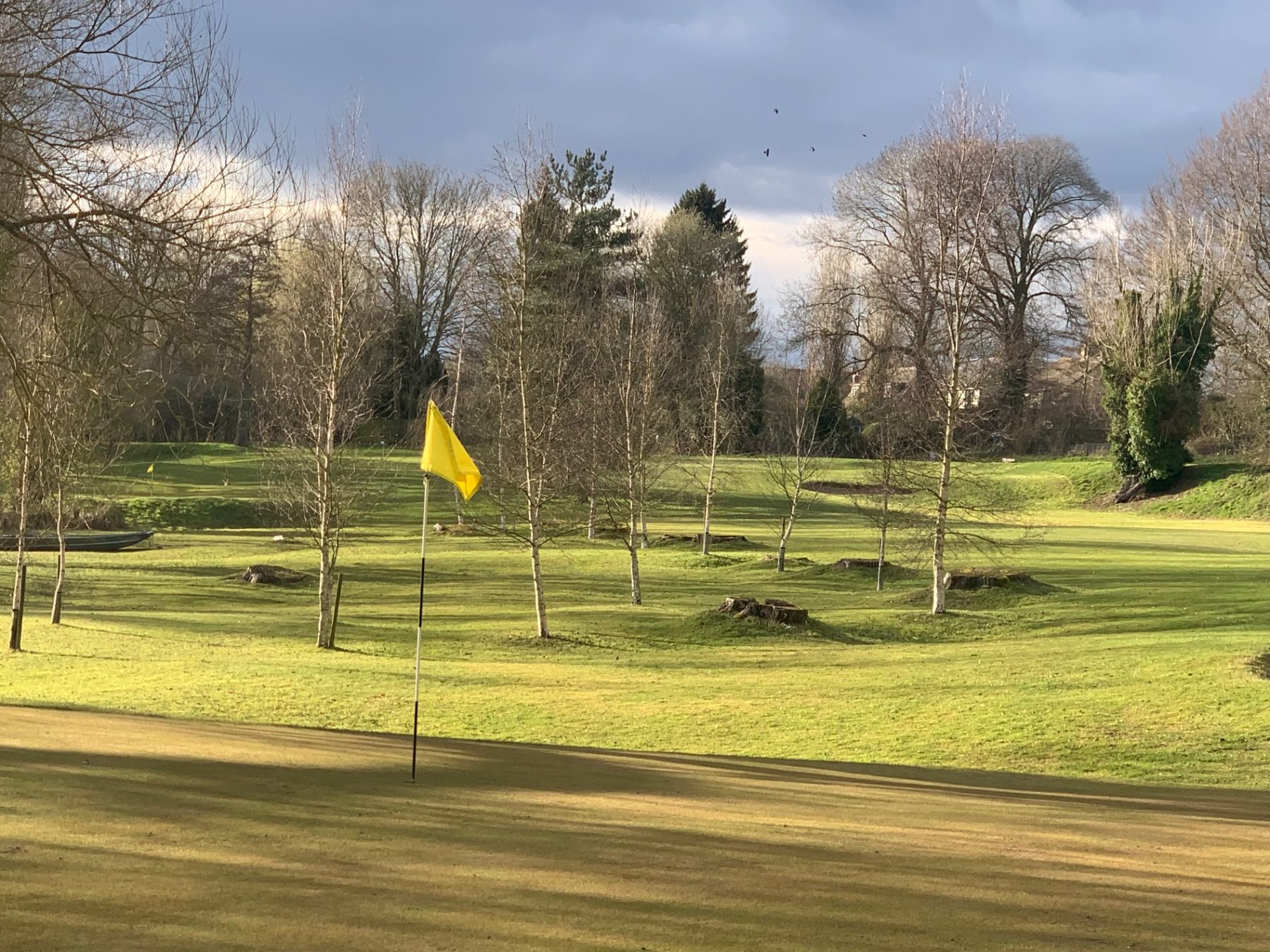 Winter light and a yellow flag