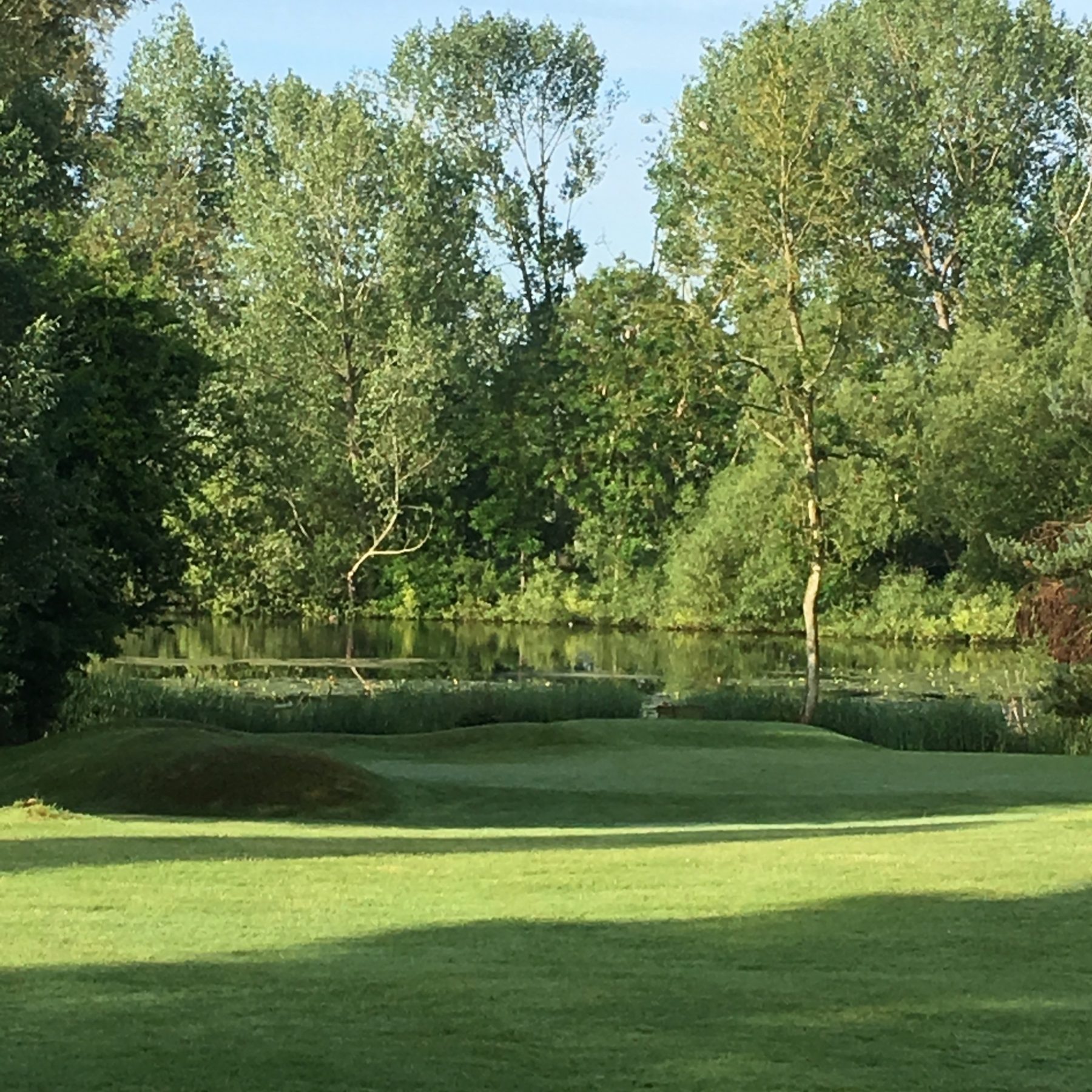 Green tucked against the lake